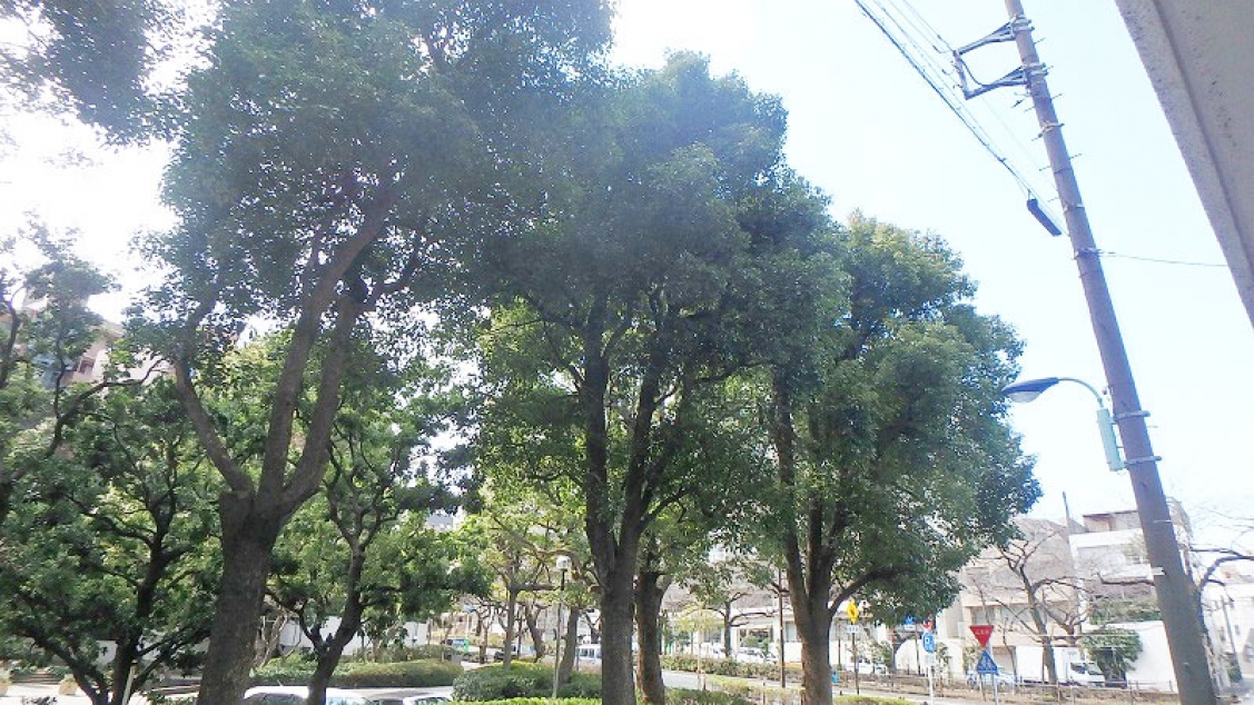 東建小石川マンション